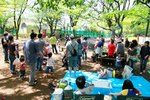 恒例春のBBQ