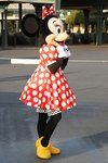 東京ディズニーランドの楽しみ方