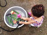 夏休みの自由研究